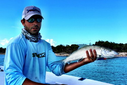 Bonefish on the bonefishing flats in the Turks and Caicos Islands