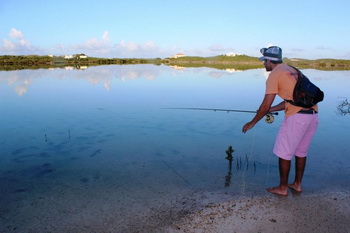 Flamingo Lake bonefishing close by villa accommodation at Harbour Club Villas and Marina